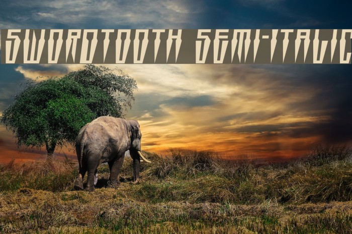 Swordtooth Semi-Italic Font examples