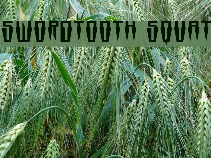 Swordtooth Squat Font examples