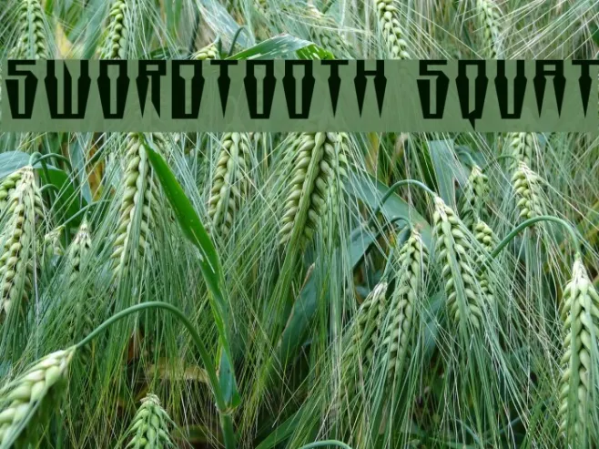 Swordtooth Squat Example 1