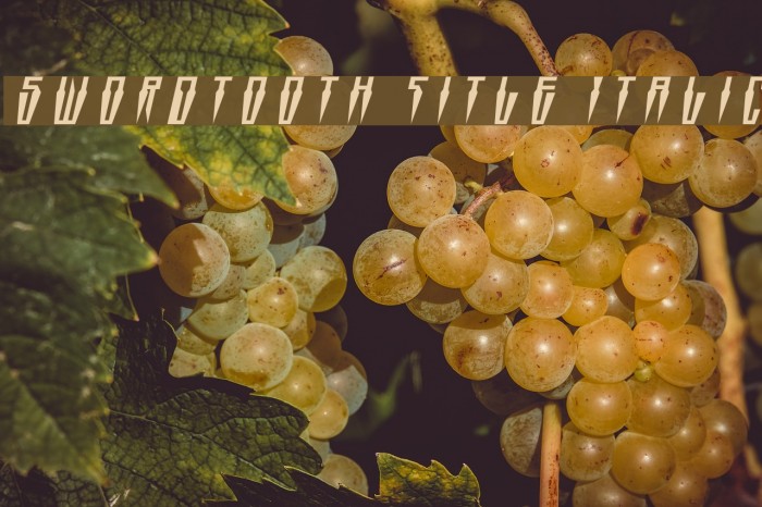 Swordtooth Title Italic Font examples