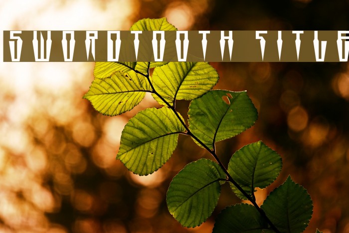 Swordtooth Title Example 3