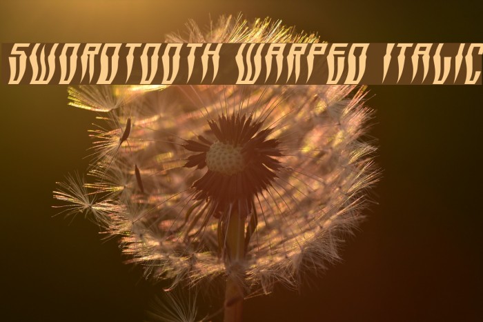 Swordtooth Warped Italic Font examples