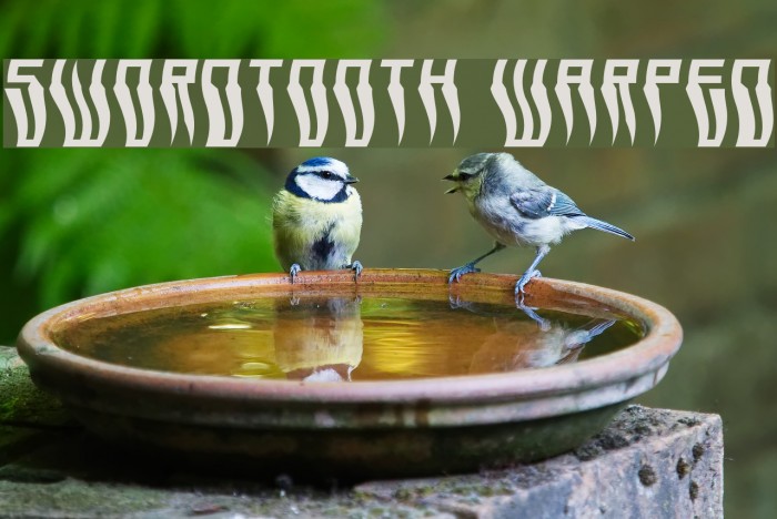 Swordtooth Warped Example 3