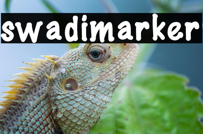 swadimarker Example 1