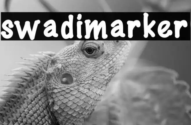 swadimarker Font examples