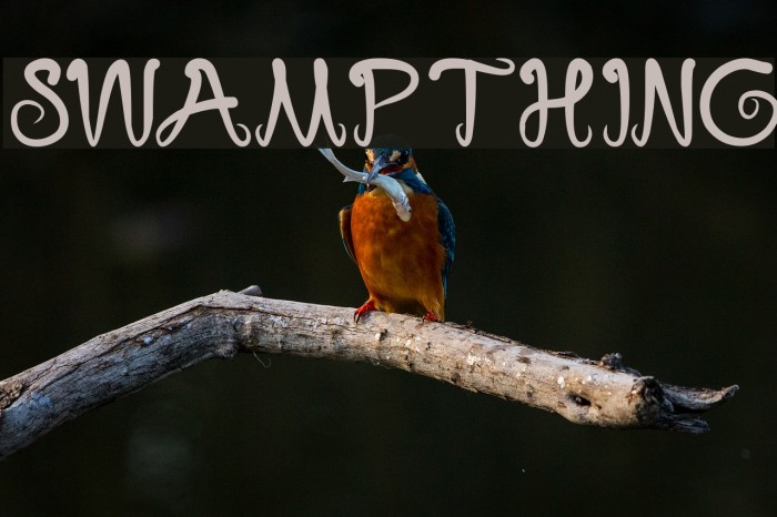 swampthing Font examples