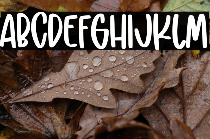 sweet doughnut Example 1