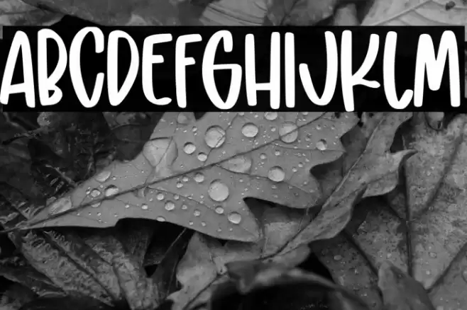 sweet doughnut Font examples