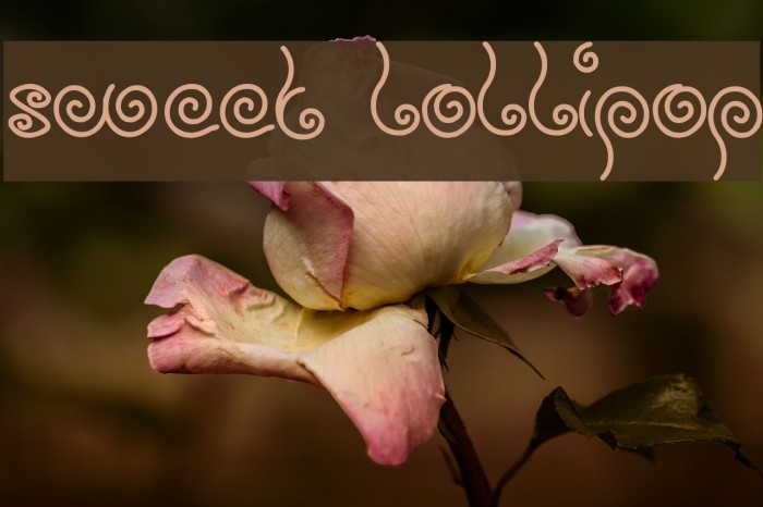 sweet lollipop Font examples