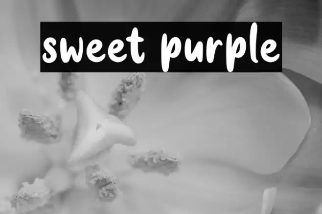 sweet purple Font examples