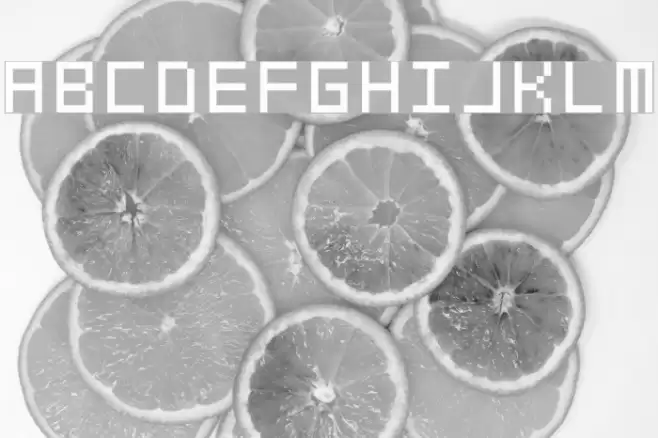 swfit_slm_fw Font examples