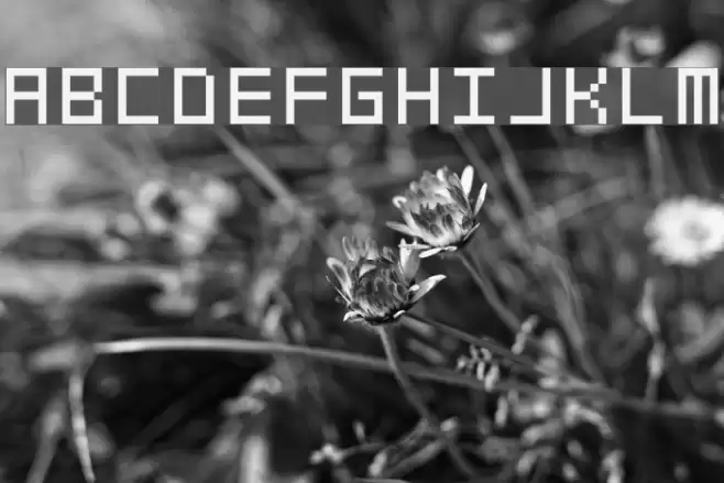 swfit_slm_fw Font examples