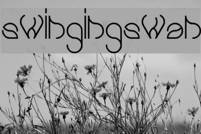 swingingswan Font examples