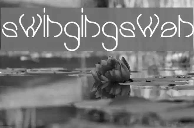 swingingswan Font examples