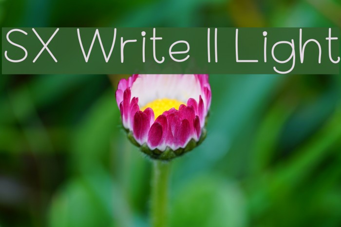 SX Write II Light Font examples