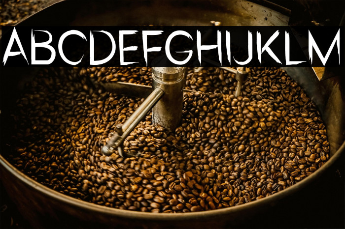 Sxuidz Bold Example 1