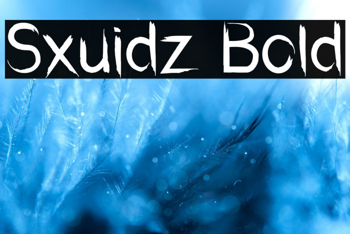Sxuidz Bold Example 1