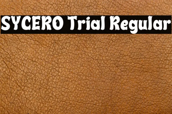 SYCERO Trial Regular Example 1
