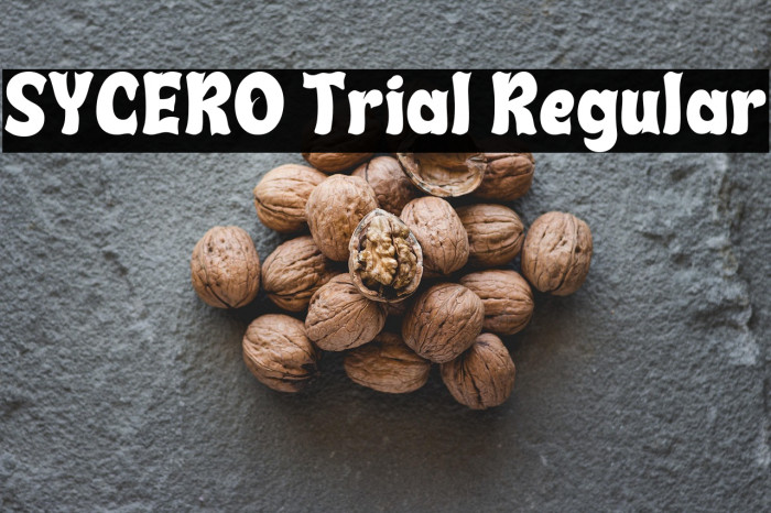 SYCERO Trial Regular Example 2