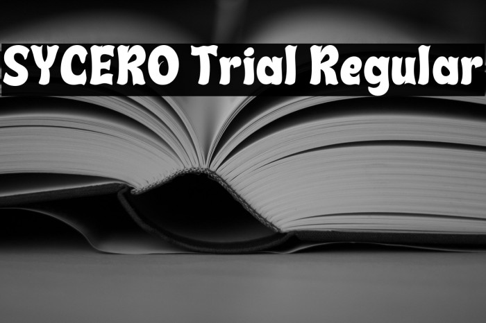 SYCERO Trial Regular Example 3