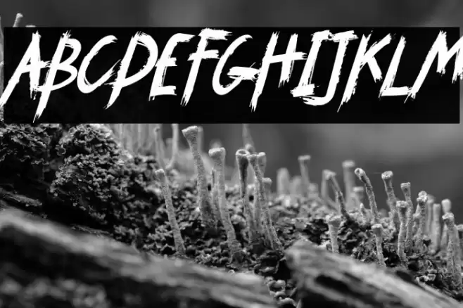 SYEMOX italic Italic Font examples