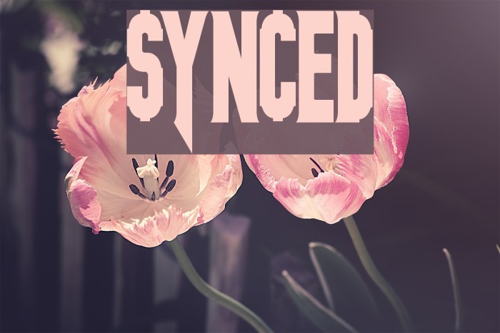 SYNCED Font examples