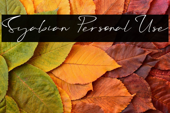 Syabian - Personal Use Example 1