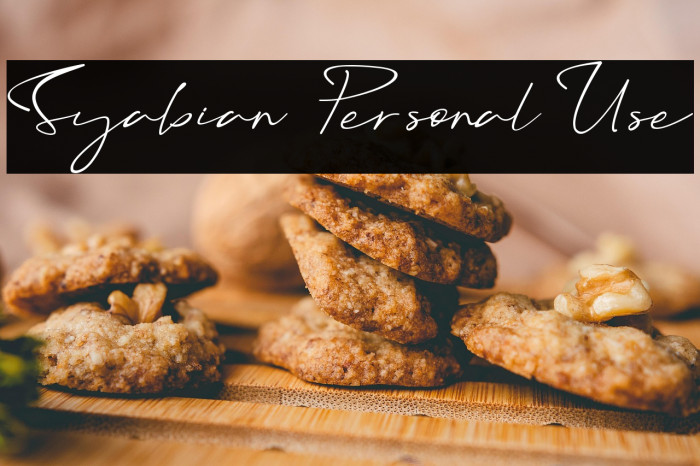 Syabian - Personal Use Example 3