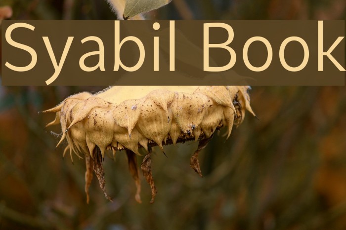 Syabil Book Font examples