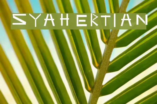 Syahertian Example 3