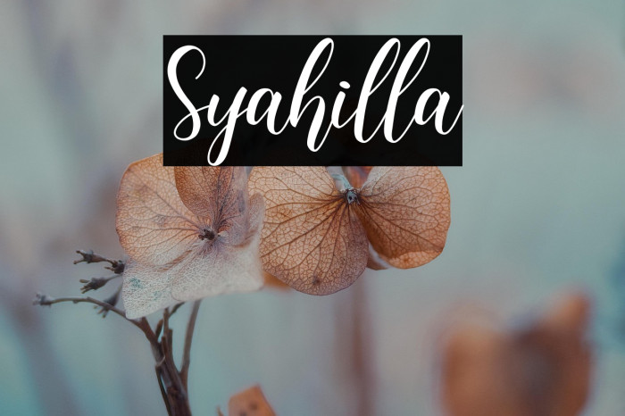 Syahilla Example 2