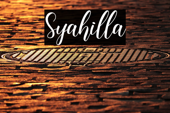 Syahilla Example 3