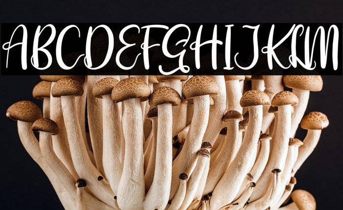 Syahrine love Example 1