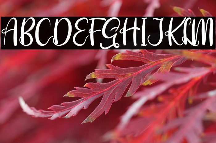 Syahrine love Example 3