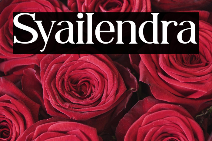 Syailendra Example 1