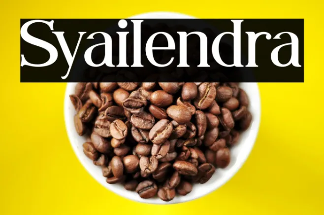 Syailendra Example 3