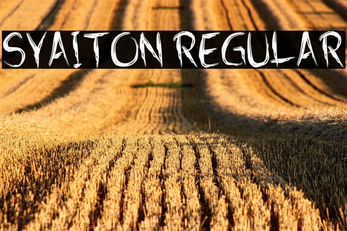 Syaiton Regular Example 1