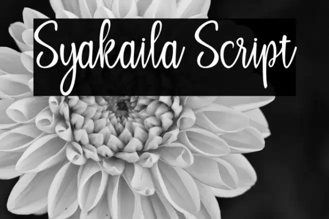 Syakaila Script Font examples