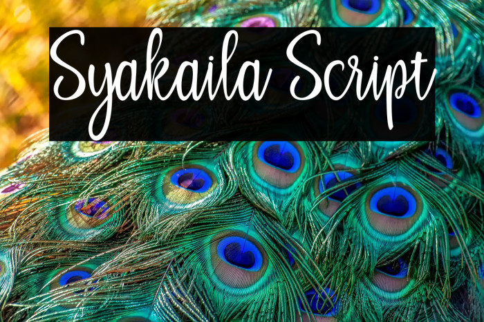 Syakaila Script Example 2