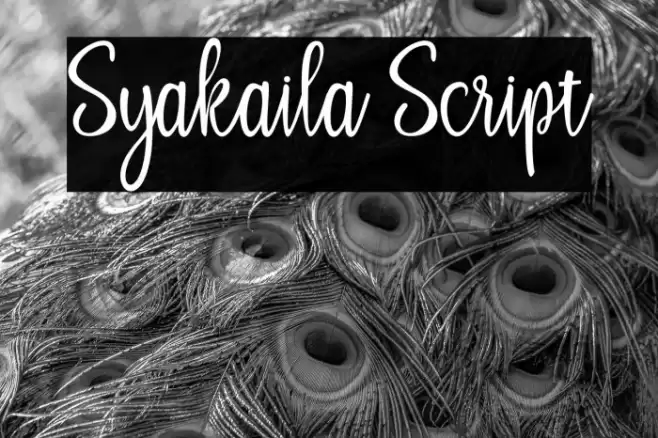 Syakaila Script Font examples