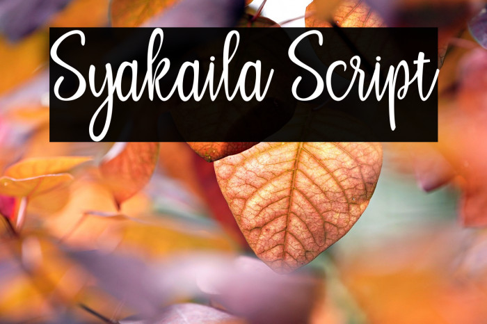 Syakaila Script Example 3