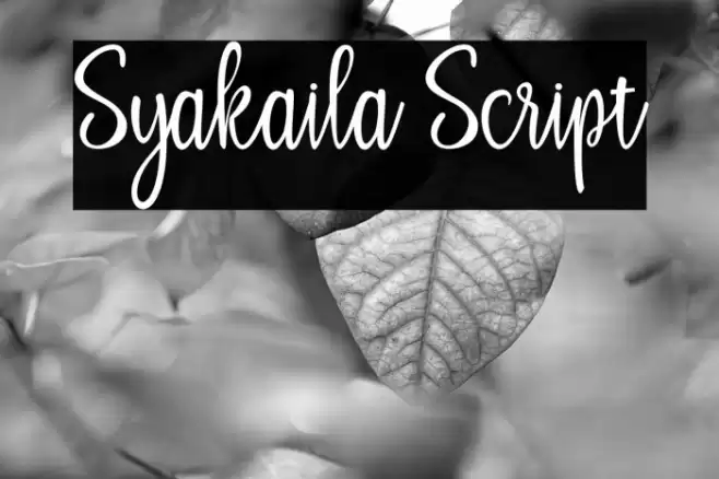 Syakaila Script Font examples