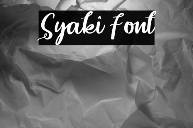 Syaki Example 1