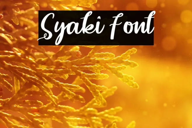 Syaki Example 2