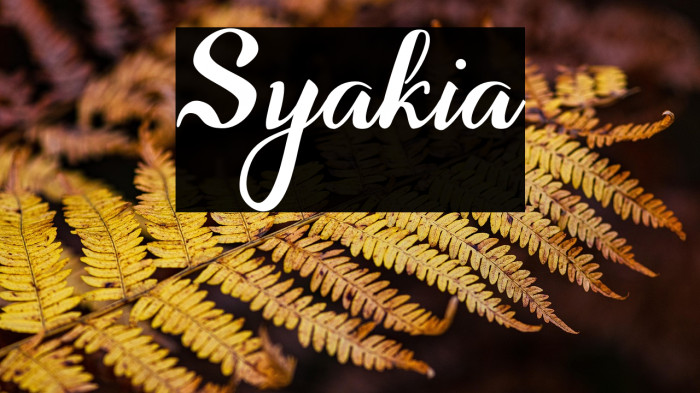 Syakia Example 1