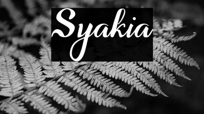 Syakia Font examples