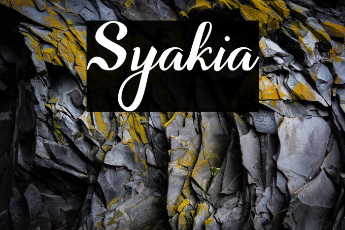Syakia Example 2