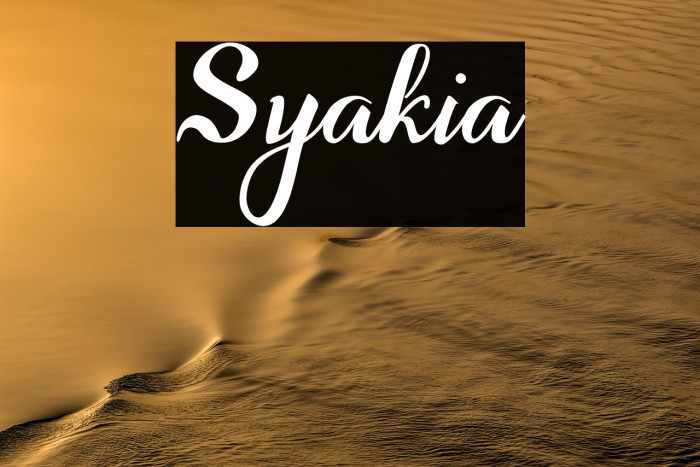 Syakia Example 3