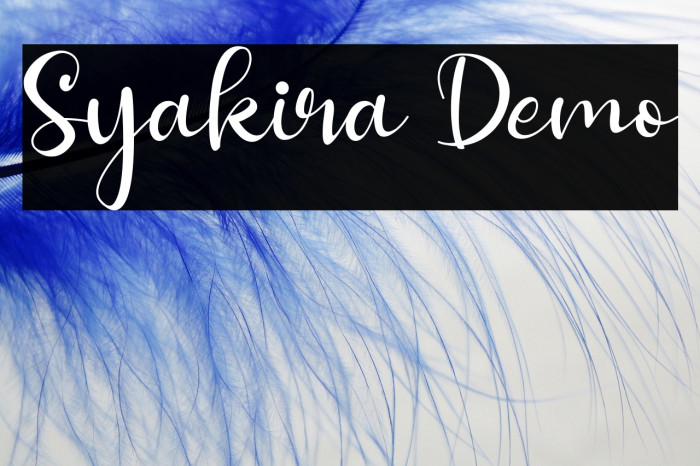 Syakira Demo Example 1