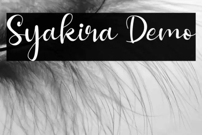 Syakira Demo Шрифта examples